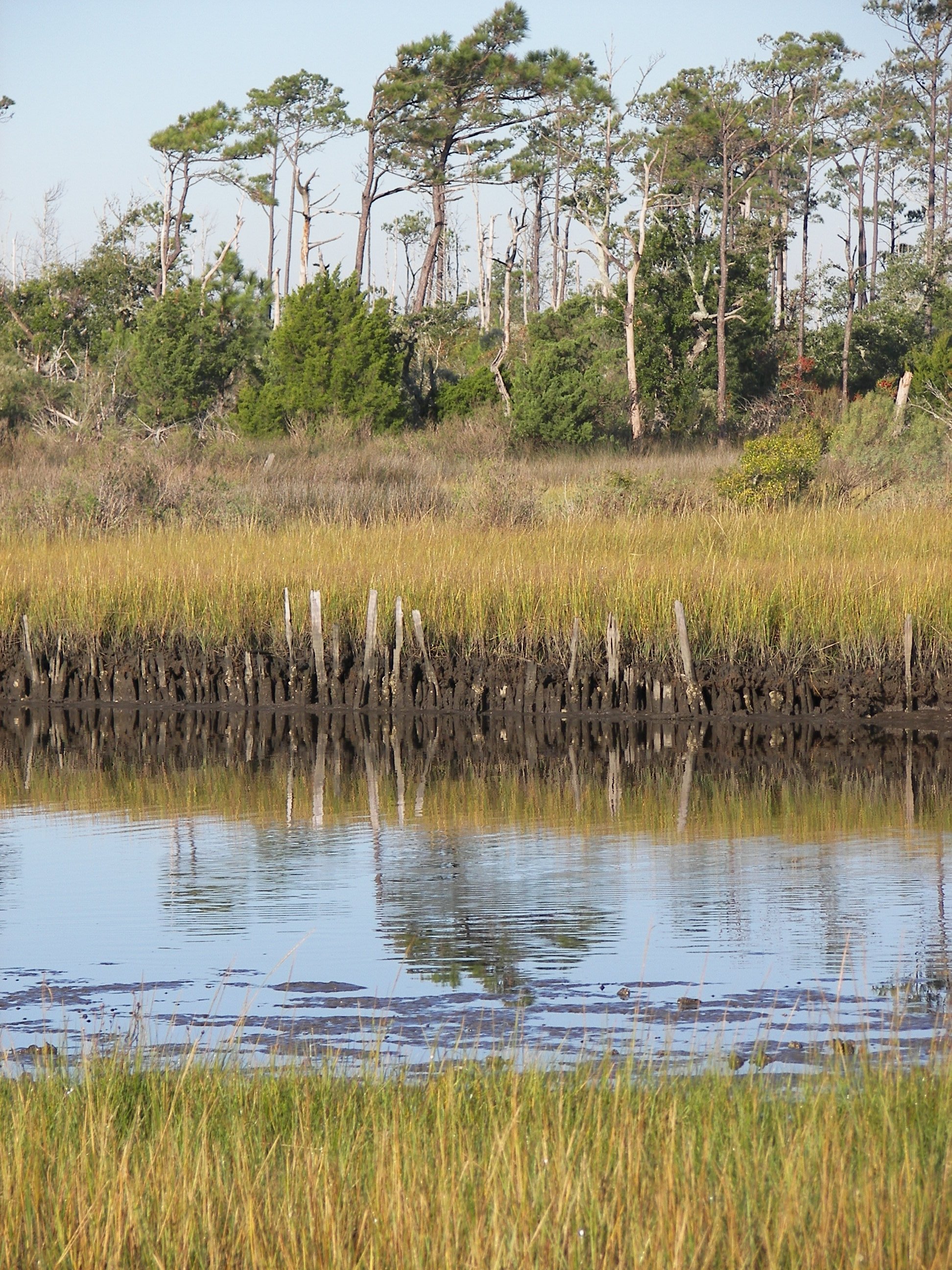 ./2006/Cedar Point/V100_1371.JPG